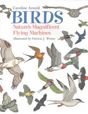 Birds: Nature's Magnificent Flying Machines de Caroline Arnold