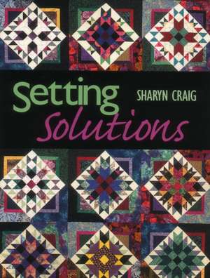 Setting Solutions - Print on Demand Edition de Sharyn S. Craig