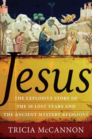 Jesus: The Explosive Story of the Thirty Lost Years and the Ancient Mystery Religions de Tricia McCannon