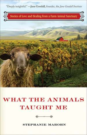 What the Animals Taught Me de Stephanie Marohn