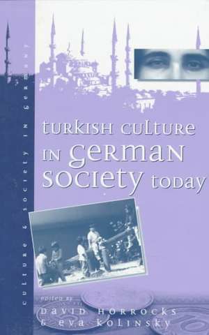 Turkish Culture in German Society de David Horrocks