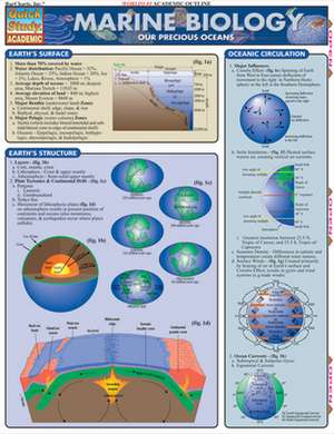 Marine Biology: Our Precious Oceans de Randy Brooks