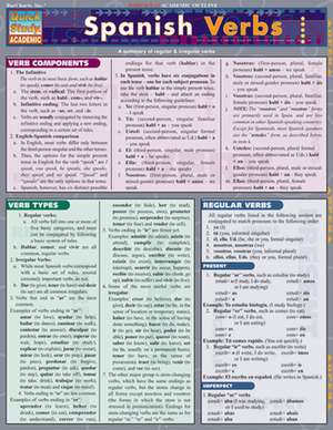 Spanish Verbs Laminate Reference Chart de William Bengtson