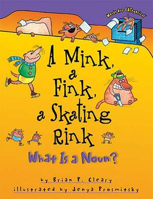 A Mink, a Fink, a Skating Rink: What is a Noun? de Brian P. Cleary