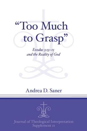 "Too Much to Grasp" – Exodus 3:13–15 and the Reality of God de Andrea D. Saner