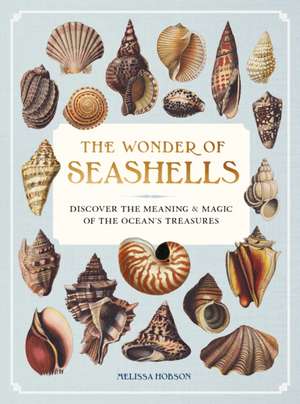 The Wonder of Seashells de Melissa Hobson