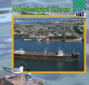 Mississippi River de John F. Prevost