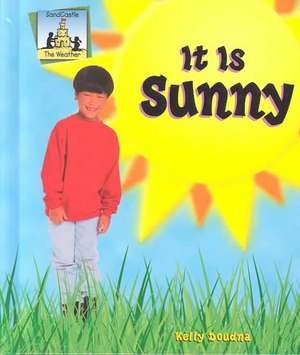 It Is Sunny de Kelly Doudna