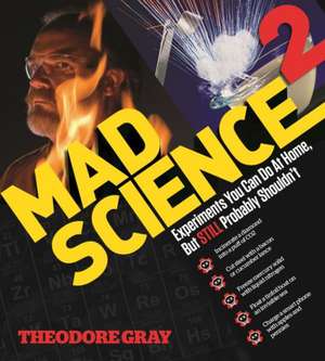 Mad Science 2: Experiments You Can Do At Home, But STILL Probably Shouldn't de Theodore Gray