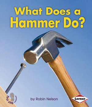 What Does a Hammer Do? de Robin Nelson