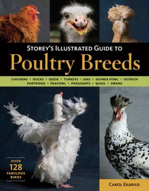 Storey's Illustrated Guide to Poultry Breeds de Carol Ekarius