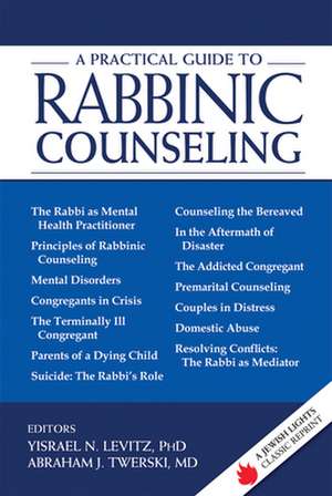 A Practical Guide to Rabbinic Counseling de Yisrael N. Levitz