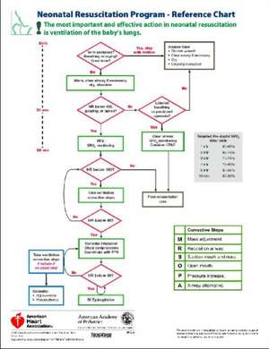 Neonatal Resuscitation Program - Reference Chart de Aap