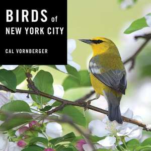 Birds of New York City de Cal Vornberger