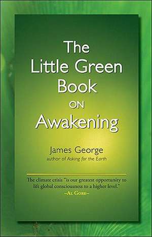 The Little Green Book on Awakening de James George