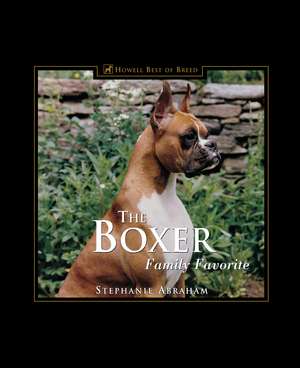 The Boxer: Family Favorite de Stephanie Abraham