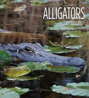 Alligators de Melissa Gish