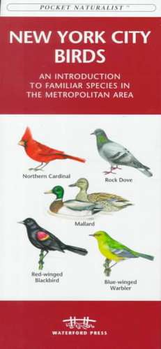 New York City Birds: A Folding Pocket Guide to Familiar Species in the Metropolitan Area de James Kavanagh