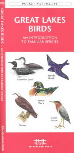 Great Lakes Birds: A Folding Pocket Guide to Familiar Species de James Kavanagh