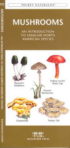 Mushrooms: An Introduction to Familiar North American Species de James Kavanagh