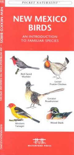 New Mexico Birds: A Folding Pocket Guide to Familiar Species de James Kavanagh