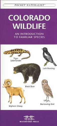 Colorado Wildlife: An Introduction to Familiar Species de James Kavanagh