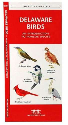 Delaware Birds: A Folding Pocket Guide to Familiar Species de James Kavanagh