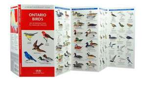 Ontario Birds: A Folding Pocket Guide to Familiar Species de James Kavanagh