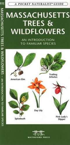 Massachusetts Trees & Wildflowers: An Introduction to Familiar Species de James Kavanagh