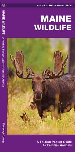 Maine Wildlife: An Introduction to Familiar Species de James Kavanagh