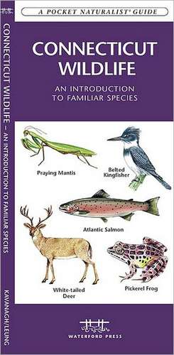 Connecticut Wildlife: An Introduction to Familiar Species de James Kavanagh