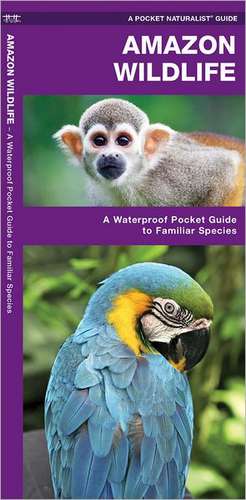 Amazon Wildlife: A Waterproof Pocket Guide to Familiar Species de James Kavanagh