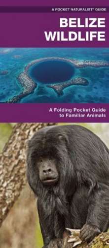 Belize Wildlife: A Folding Pocket Guide to Familiar Species de James Kavanagh