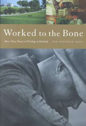 Worked to the Bone: A History of Race, Class, Power, and Privilege in Kentucky de Pem Davidson Buck