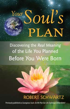 Your Soul's Plan: Discovering the Real Meaning of the Life You Planned Before You Were Born de Robert Schwartz