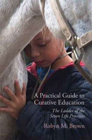 A Practical Guide to Curative Education de Robyn M. Brown