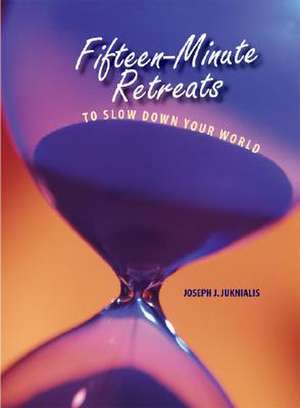 Fifteen-Minute Retreats to Slow Down Your World de Joseph J. Juknialis