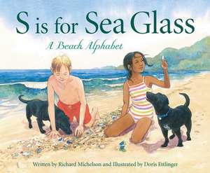 S Is for Sea Glass: A Beach Alphabet de Richard Michelson