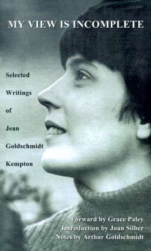 My View is Incomplete de Jean Goldschmidt Kempton