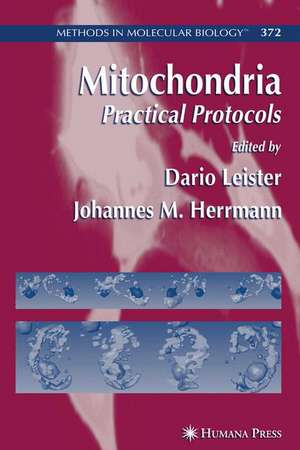 Mitochondria de Dario Leister