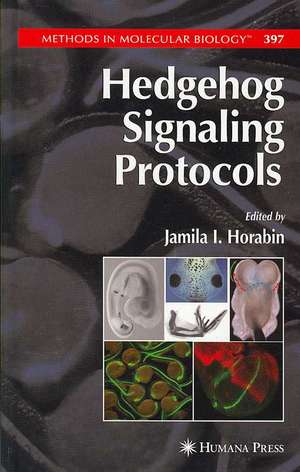 Hedgehog Signaling Protocols de Jamila I. Horabin