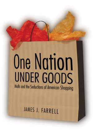 One Nation Under Goods: Malls and the Seductions of American Shopping de James J. Farrell