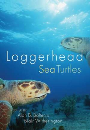 Loggerhead Sea Turtles de Alan B Bolten