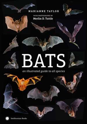 Taylor, M: Bats