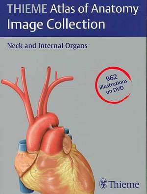 THIEME Atlas of Anatomy Image Collection--Neck and Internal Organs de Michael Schuenke