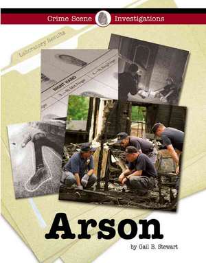 Arson de Gail B. Stewart