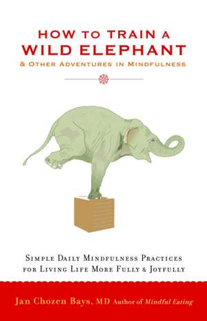 How to Train a Wild Elephant: And Other Adventures in Mindfulness de Jan Chozen Bays