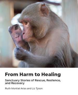 From Harm to Healing de Ruth Montiel Arias