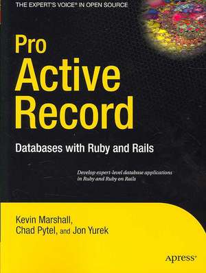 Pro Active Record: Databases with Ruby and Rails de Chad Pytel