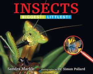 Insects de Sandra Markle